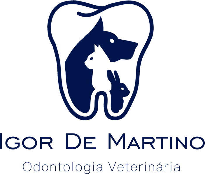 Dr Igor de Martino